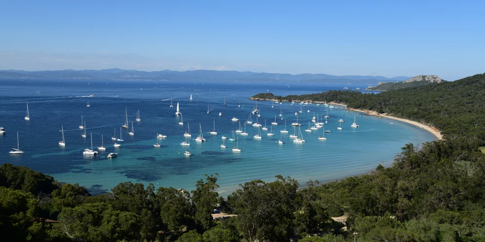 Το νησί της Μεσογείου που αναφέρεται ως «πλωτό δάσος» -Έχει μία από τις καλύτερες παραλίες της Ευρώπης