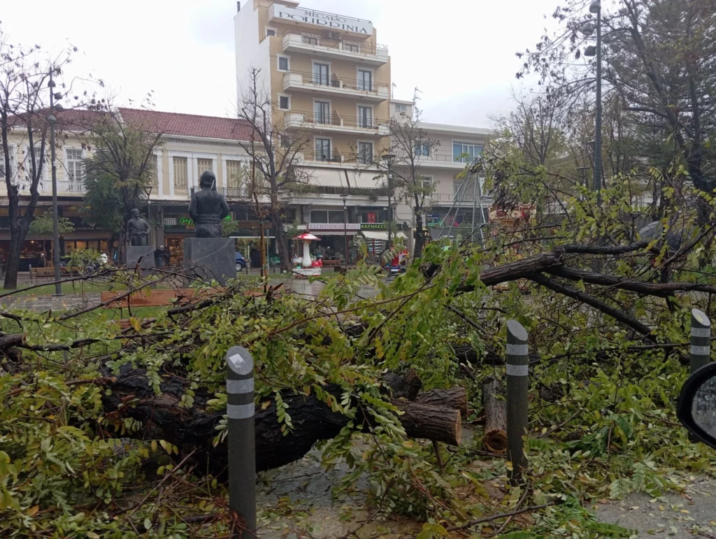 Kρήτη: Προβλήματα στο οδικό δίκτυο και πτώσεις δέντρων από την κακοκαιρία