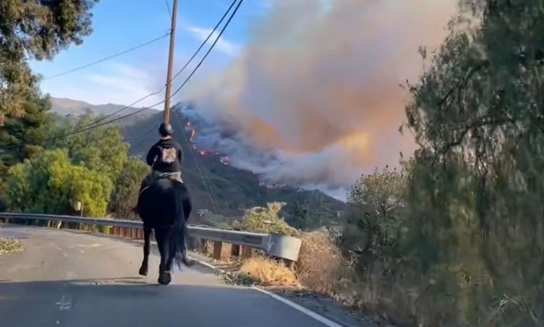 ΗΠΑ: 16χρονη έσωσε άλογο από τις πυρκαγιές του Λος Άντζελες - Δείτε βίντεο