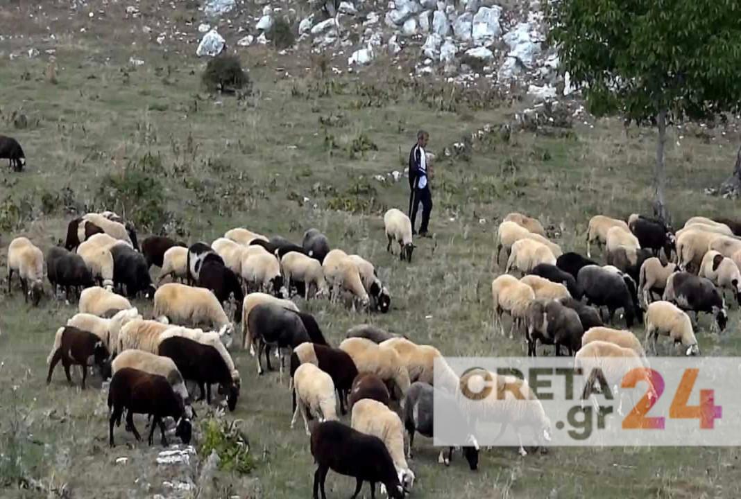 Βγαίνουν στους δρόμους οι κτηνοτρόφοι της Κρήτης