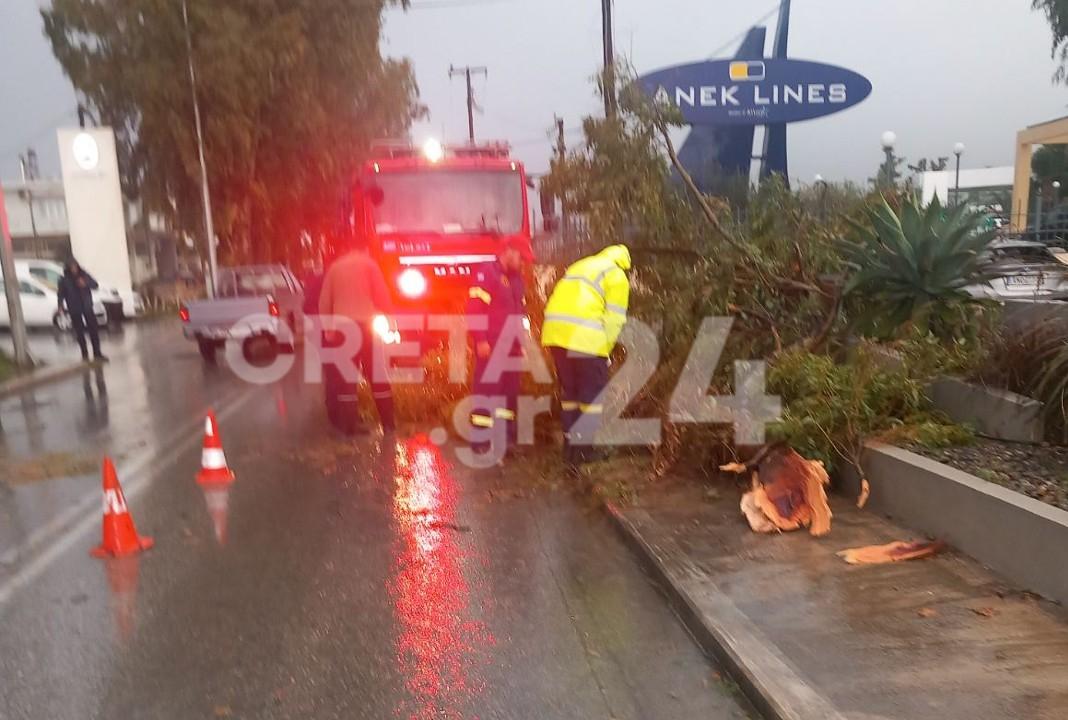 Κρήτη: Δέντρο έπεσε στη μέση του δρόμου