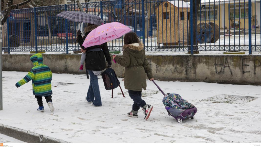 Κλειστά σχολεία αύριο (14/1) – Σε ποιες περιοχές θα γίνει τηλεκπαίδευση