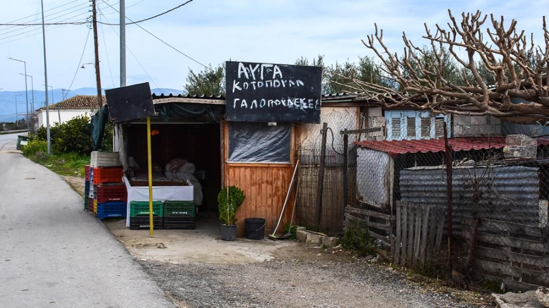 Ληστής έπεσε νεκρός μετά από συμπλοκή με 72χρονη