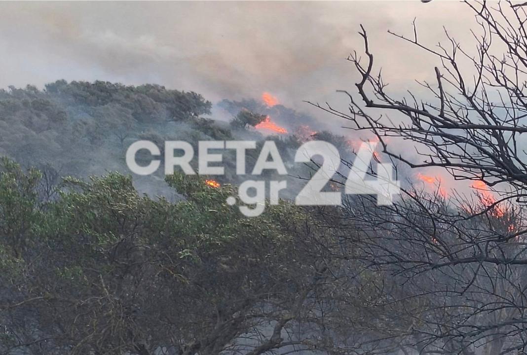 Μια «ανάσα» από τα σπίτια έφτασε η μεγάλη φωτιά στα Χανιά – Σε επιφυλακή η πυροσβεστική λόγω των ισχυρών ανέμων