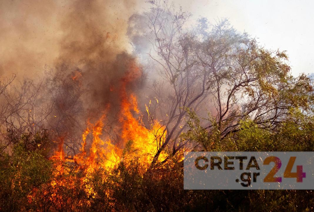 Υπό έλεγχο τα πύρινα μέτωπα σε Ρέθυμνο και Ιεράπετρα – Η έκκληση της πυροσβεστικής