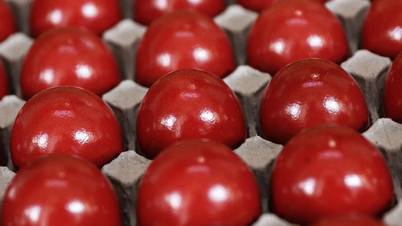 Οδηγίες για την ασφάλεια τροφίμων στο πασχαλινό τραπέζι από την Ένωση Καταναλωτών