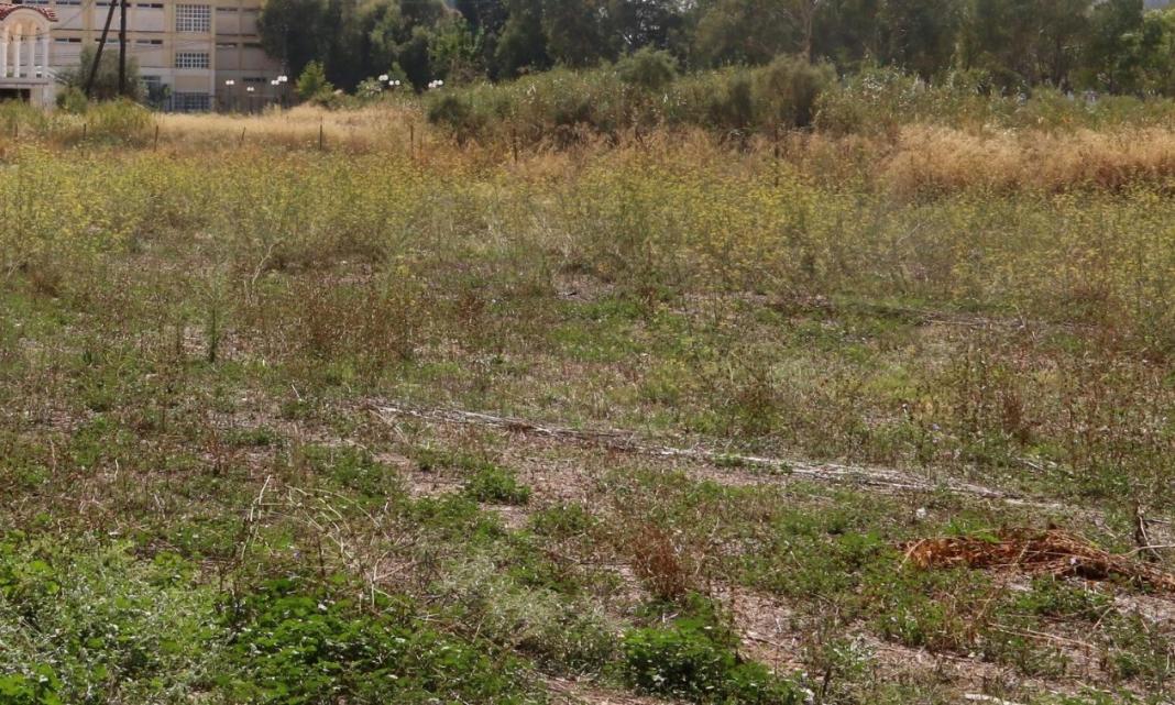 Θύμιος Μπακογιάννης για οριοθέτηση οικισμών: «Δεν έχει αλλάξει τίποτα στο καθεστώς δόμησης»