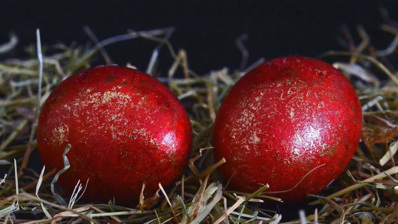 H Finos Film για το Πάσχα: «Γιατί γυρίζεις σαν το αρνί στη σούβλα»