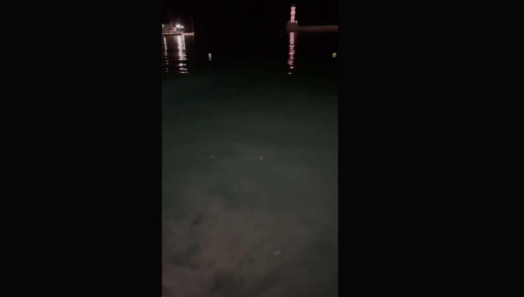 Χανιά: Λύματα στο Ενετικό Λιμάνι (βίντεο)