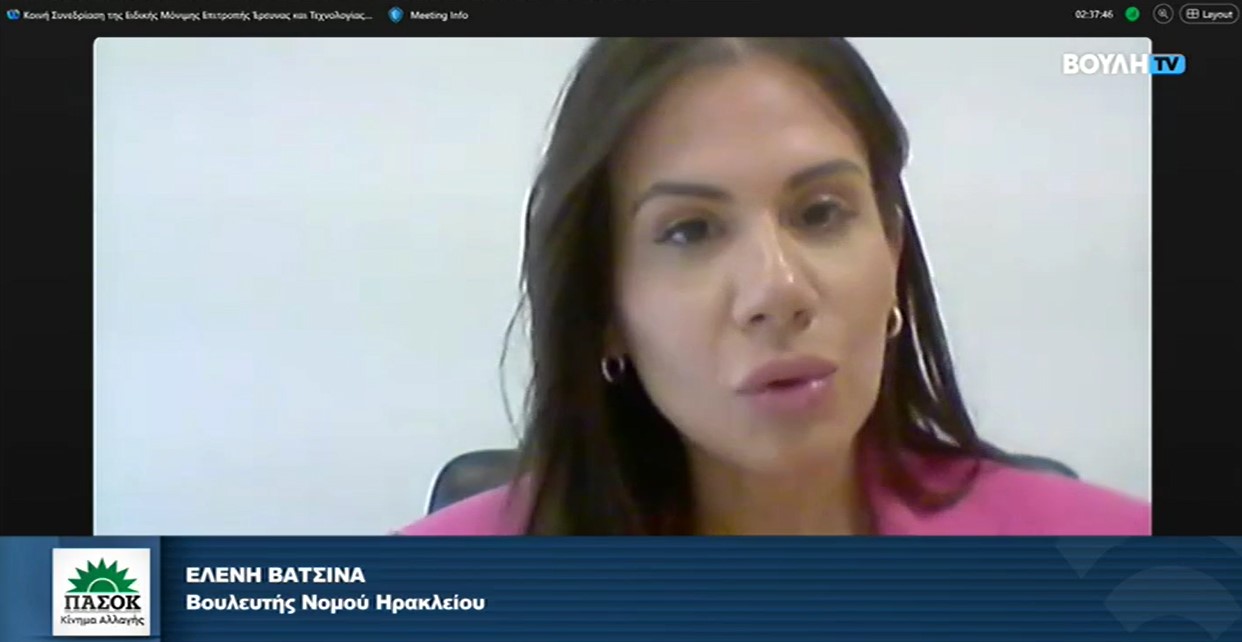 Ελένη Βατσινά: Τα Επιμελητήρια φορείς Καινοτομίας … όχι ως υποκατάστατο της εθνικής πολιτικής, αλλά ενισχυτικά