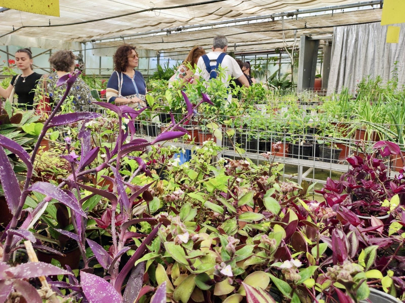 O Λευτέρης Αυγενάκης για τον Εορτασμό της διεθνούς Ημέρας Μαγείας Φυτών