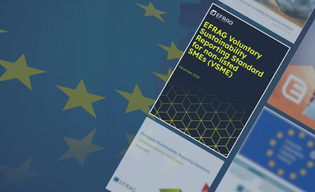Τι είναι το πρότυπο VSME; Ένας οδηγός για την εθελοντική υποβολή εκθέσεων βιωσιμότητας