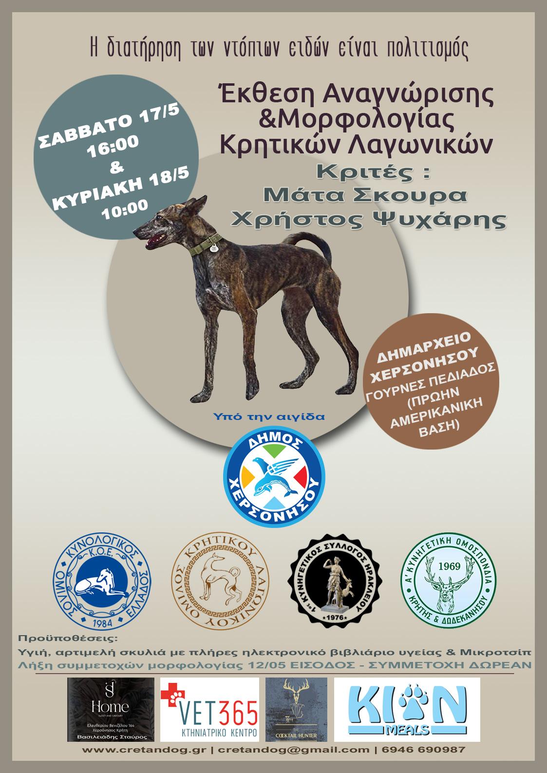 Έκθεση αναγνώρισης κρητικών λαγωνικών στον Δήμο Χερσονήσου