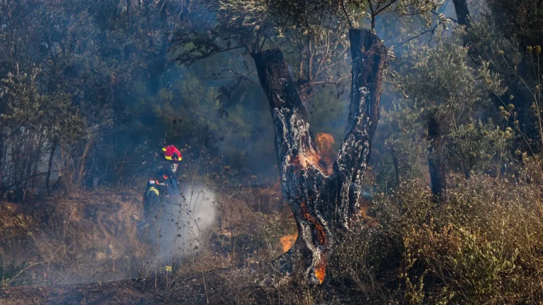 Στο Λιθί το κύριο μέτωπο της πυρκαγιάς στη Χίο – Κάηκαν πάνω από 40.918 στρέμματα γης