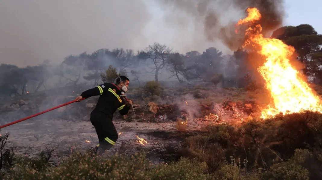 Μεγάλη φωτιά σε δασική έκταση στην Ναύπακτο – Μήνυμα για απομάκρυνση από το 112