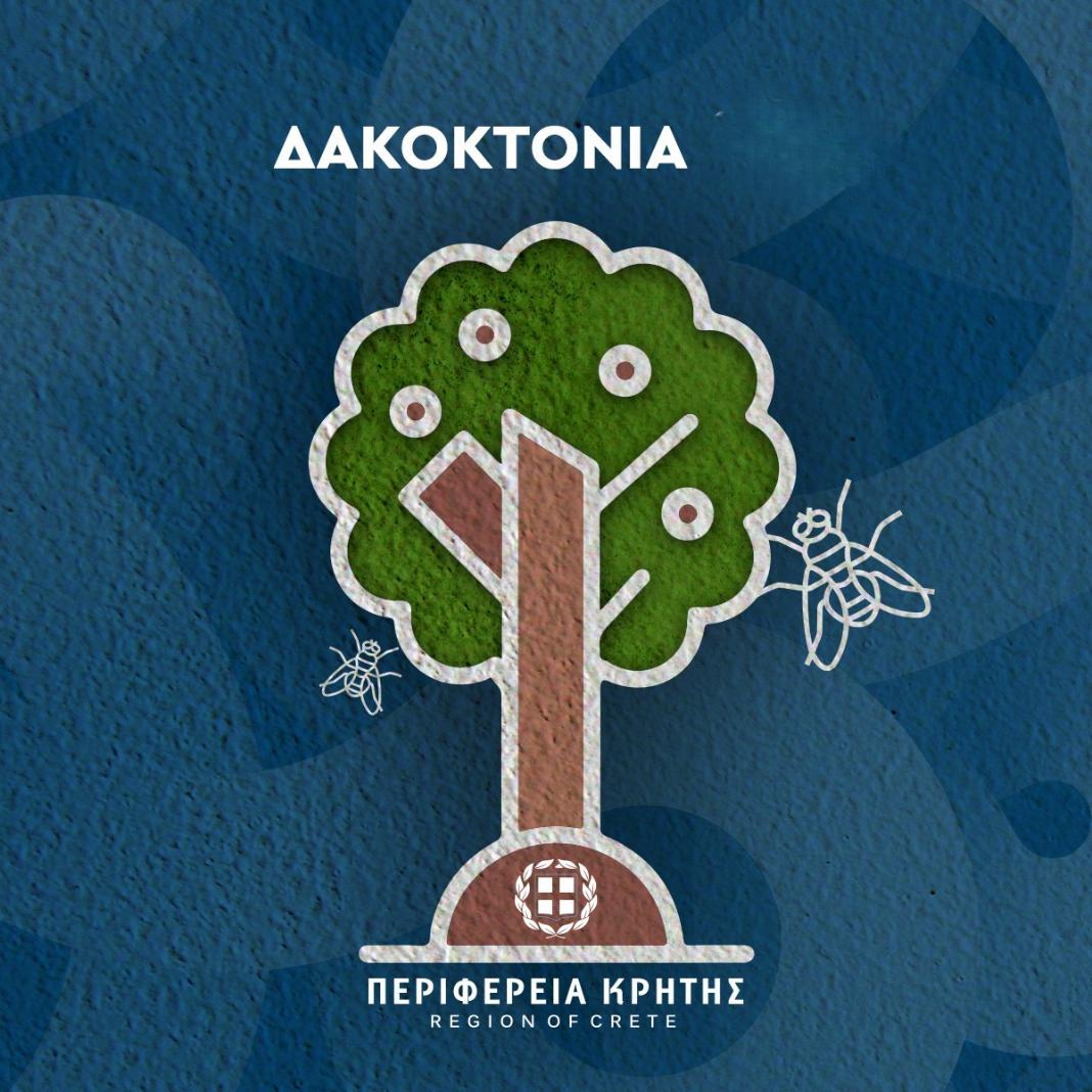 Ηράκλειο: Ξεκίνησε η «μάχη» κατά του δάκου