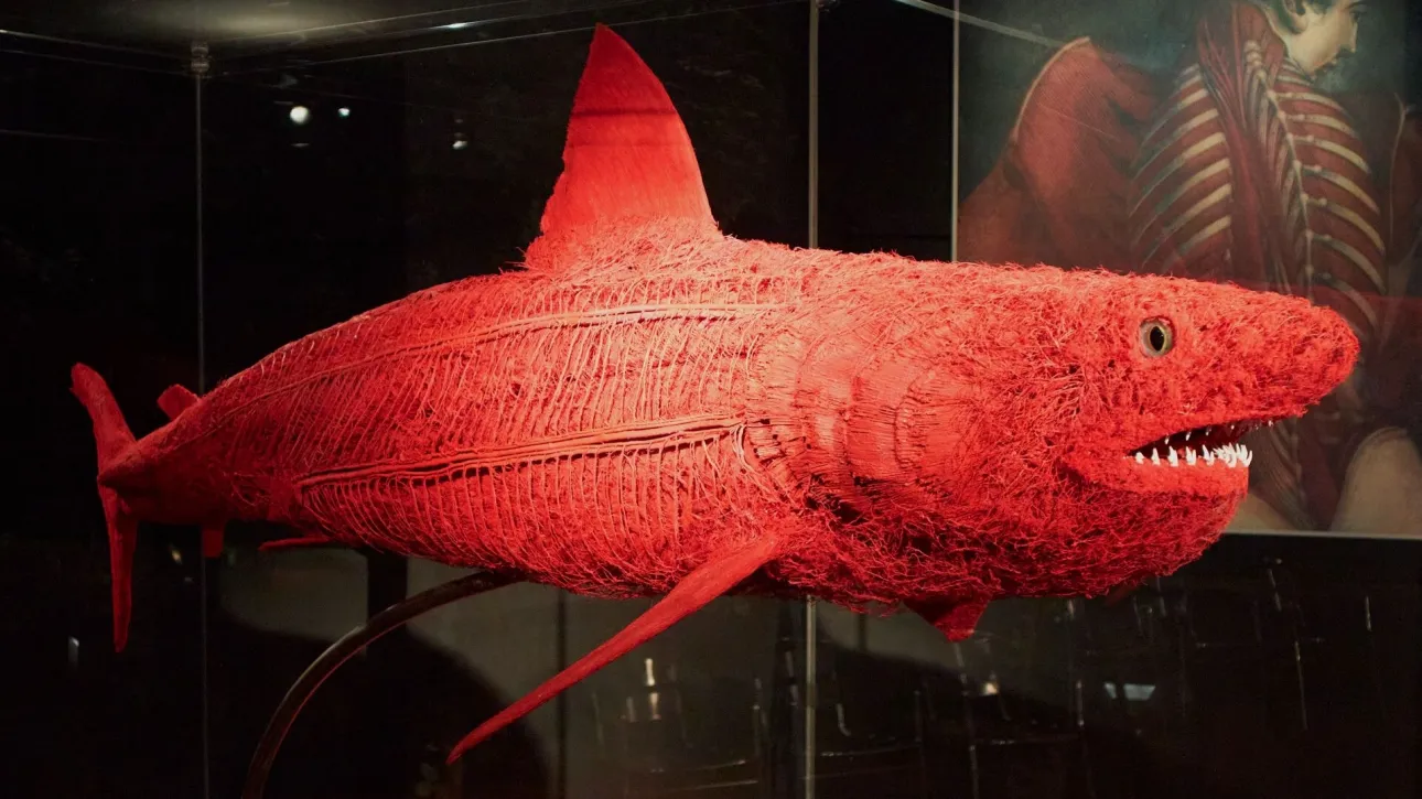 Τα τρία πιο παράξενα μουσεία του κόσμου που αξίζει να επισκεφθείτε