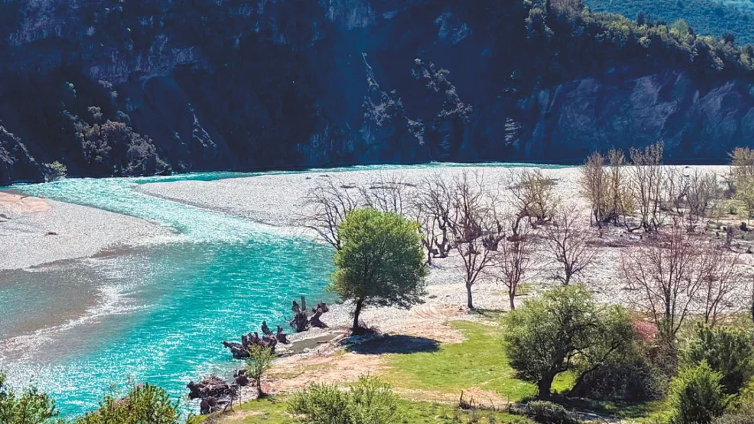 Μύκητες εισαγωγής σκοτώνουν τα ελληνικά δάση – Ποιες περιοχές βρίσκονται στο κόκκινο
