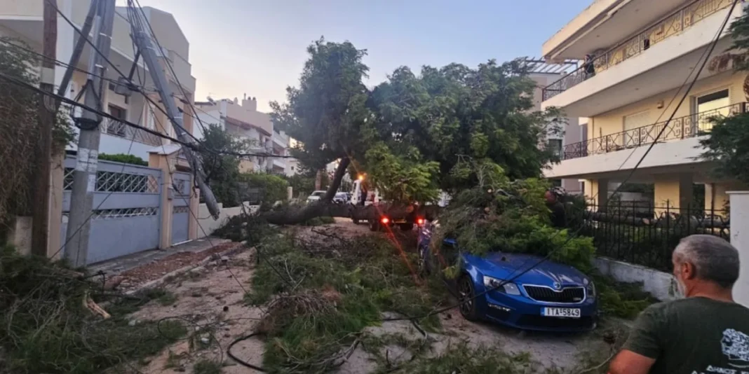 Δέντρο έπεσε σε καλώδια της ΔΕΗ και προσγειώθηκε σε ΙΧ