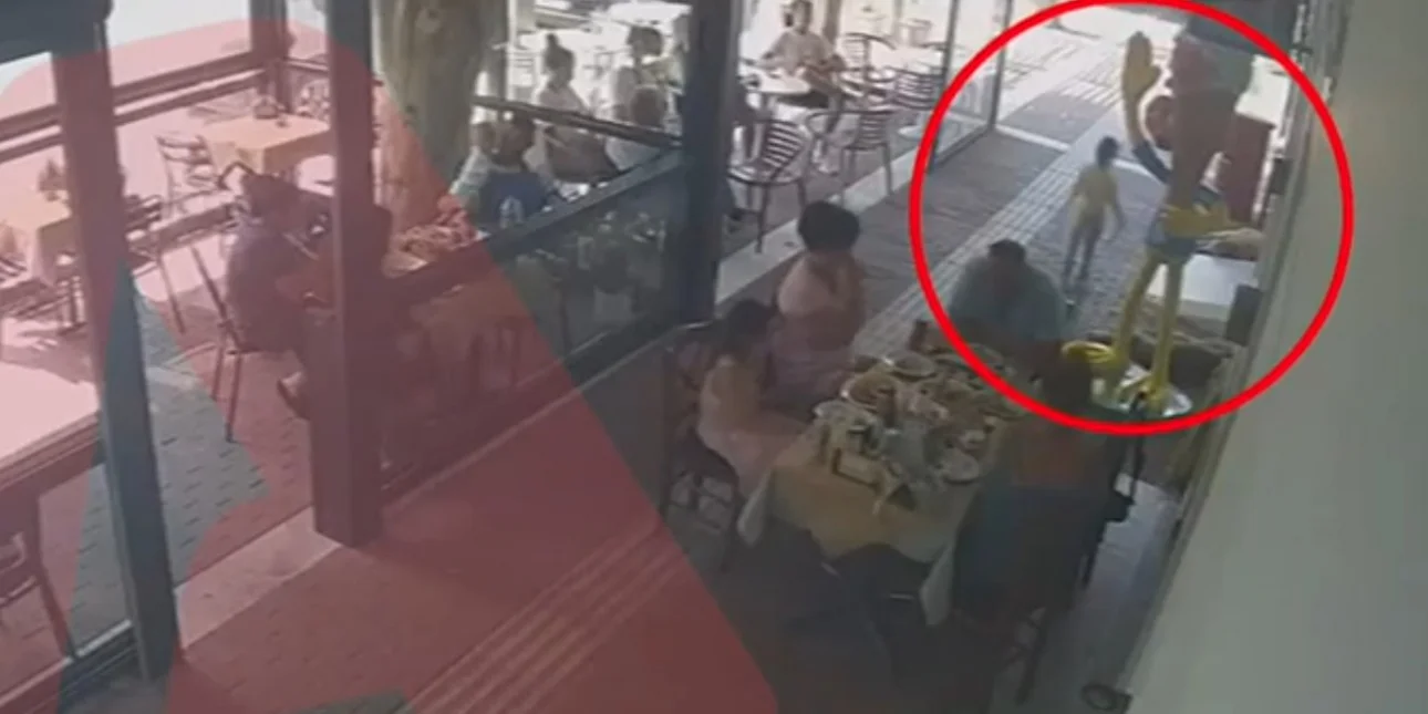 Βίντεο ντοκουμέντο από την επίθεση σκύλου σε αγοράκι 2,5 ετών -«Είχε πολύ βαθιά τραύματα στο κεφάλι»