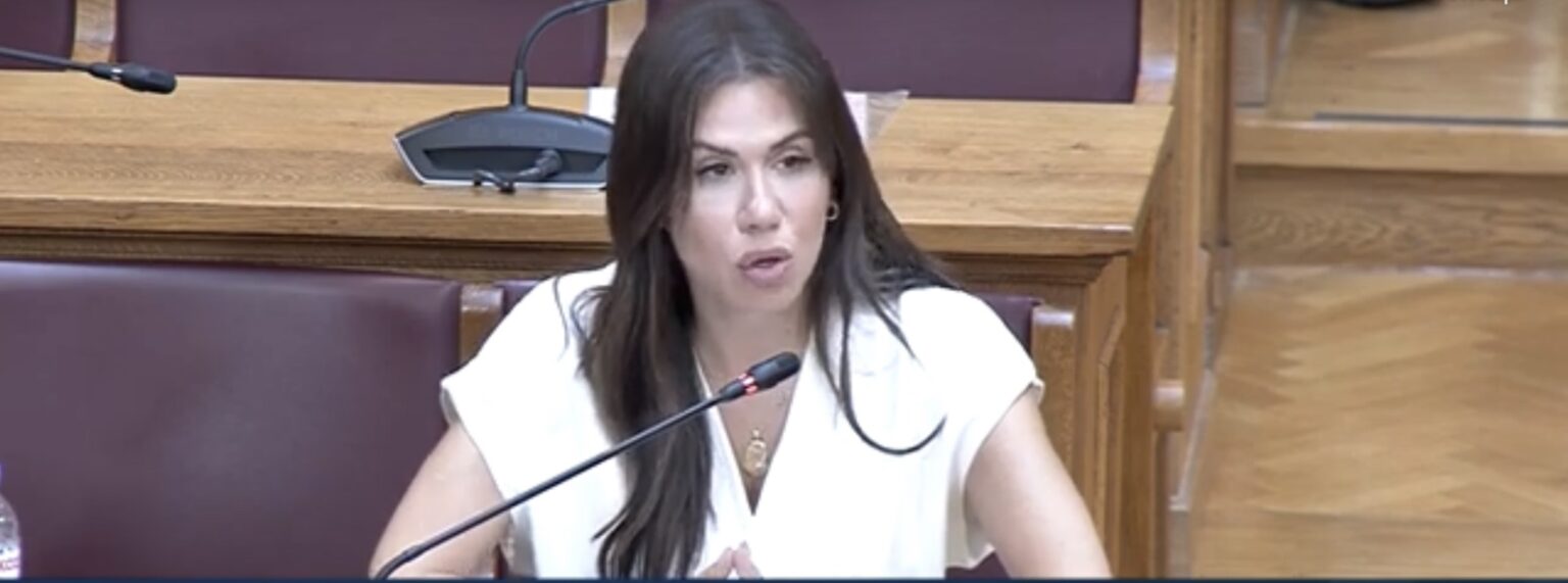 Ελ. Βατσινά: Να προστατευθεί ο λόφος Παπούρα και τα αρχαιολογικά ευρήματα