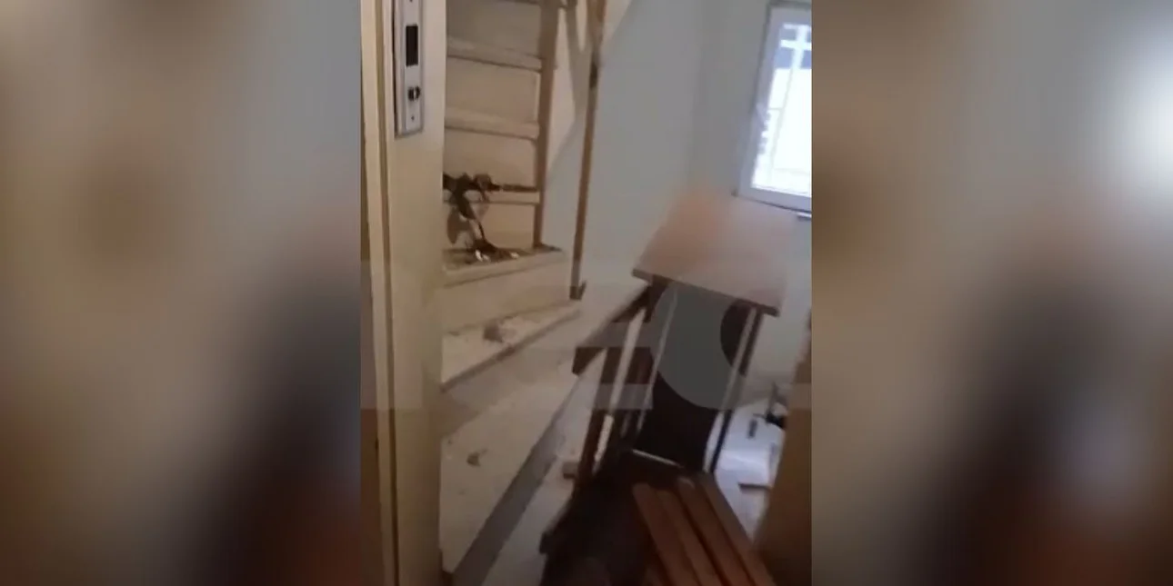 Το παρελθόν της ηθοποιού που τραυμάτισε με κατσαβίδι 30χρονο γείτονα μετά από παρατήρηση για τον σκύλο