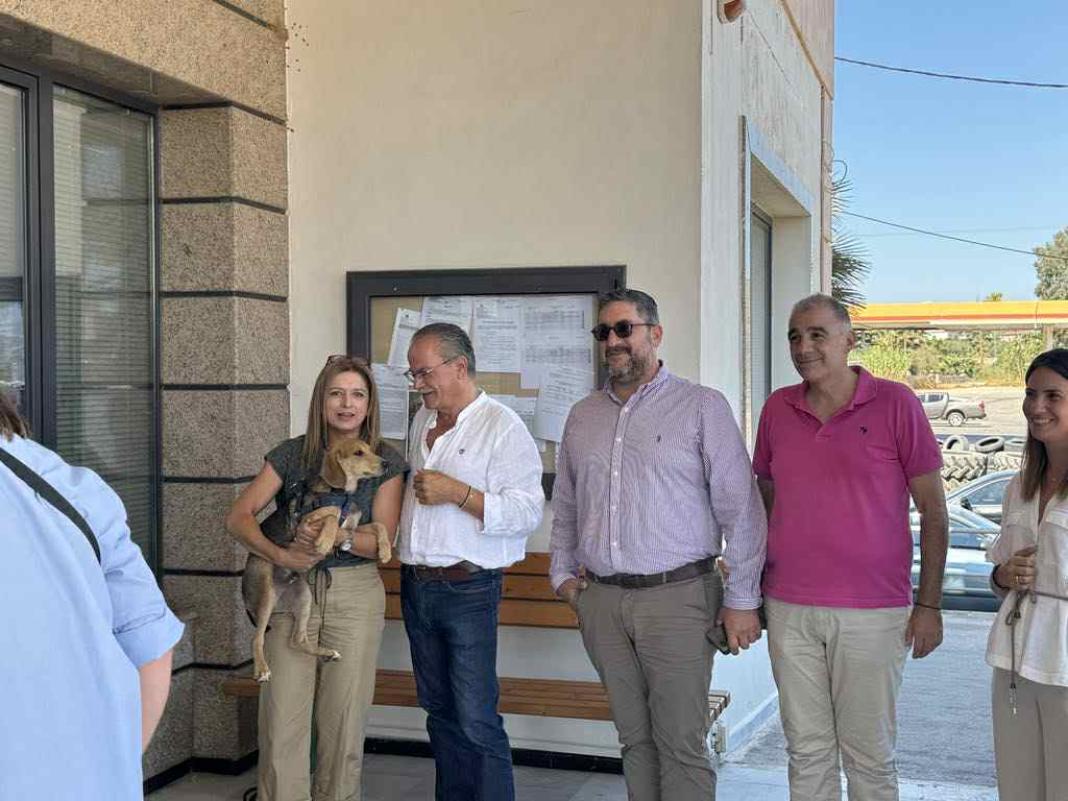 Συμμετοχή στην «Ημέρα Υιοθεσίας Αδέσποτων Ζώων Συντροφιάς» στον Δήμο Πλατανιά