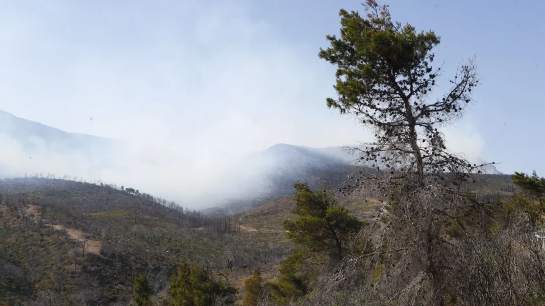 Υπό μερικό έλεγχο η πυρκαγιά στην Πάρνηθα