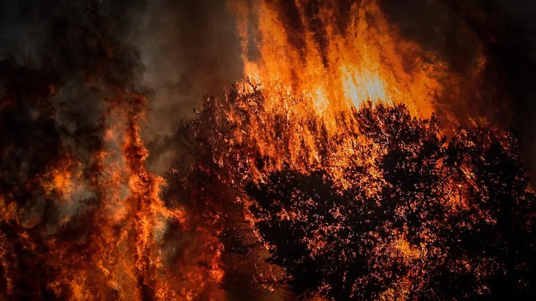 Καιρός – Τσατραφύλλιας: Οι θερμοί, ξηροί και καθοδικοί άνεμοι foehn που ανεβάζουν κατακόρυφα τον κίνδυνο πυρκαγιάς από την Τετάρτη