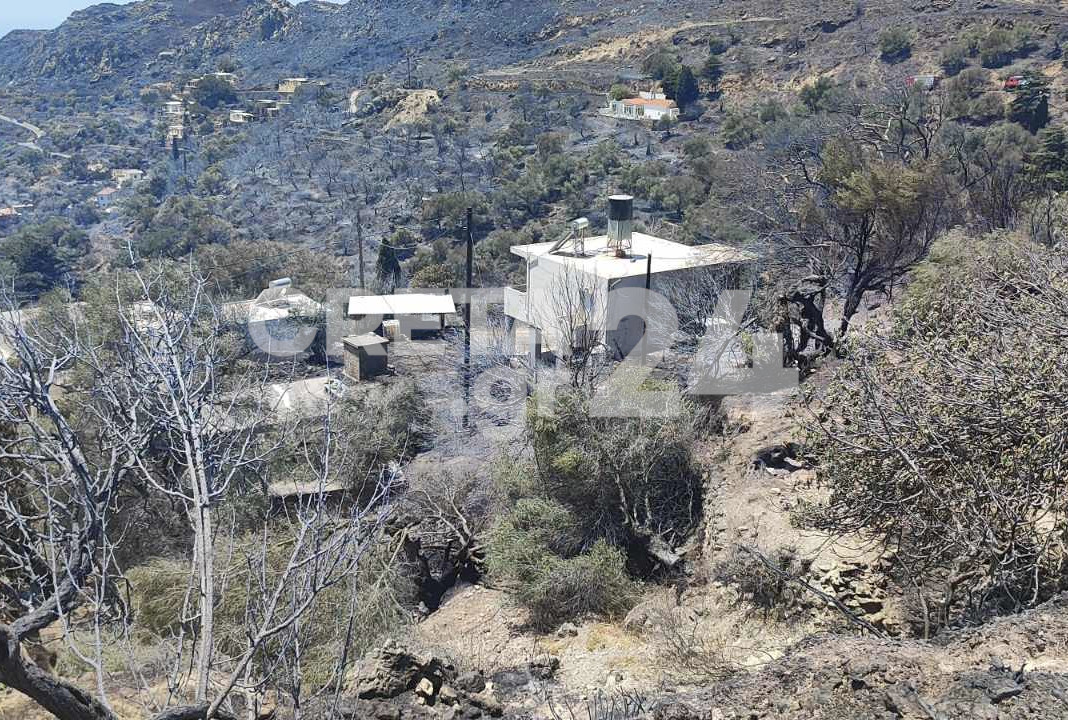 Εικόνες καταστροφής στα Χανιά: Γκρίζο τοπίο, καμένες περιουσίες και ζώα