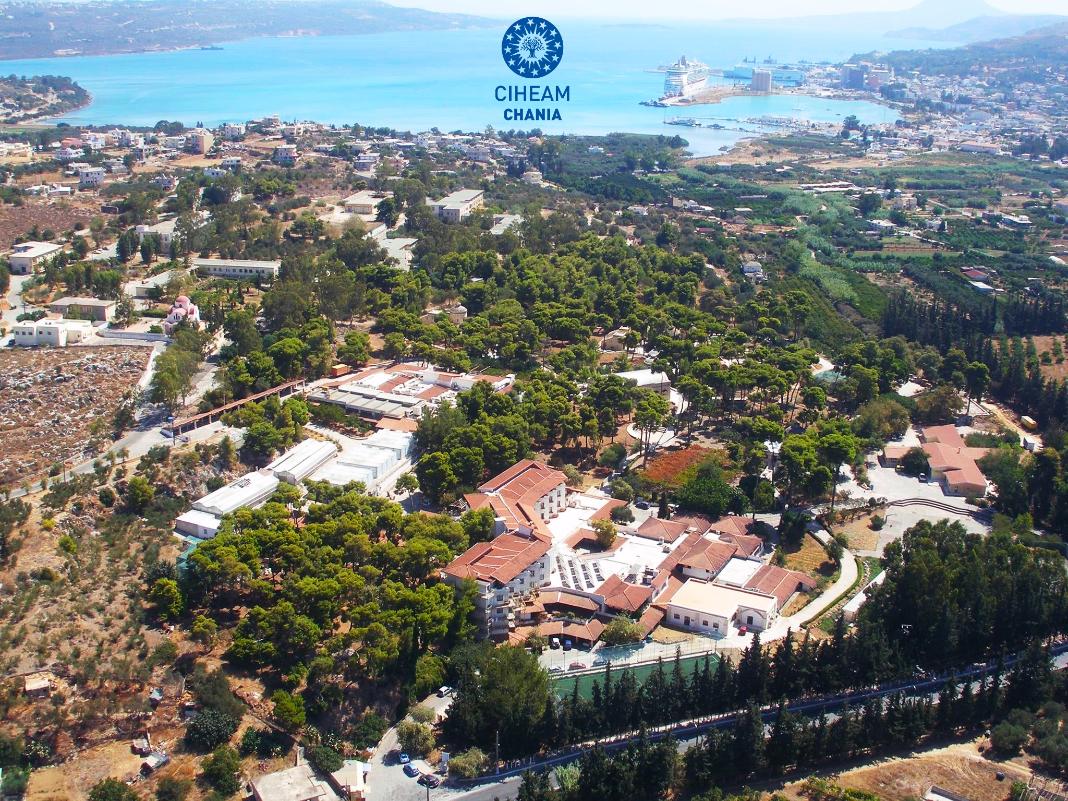 Στρογγυλή τράπεζα στο ΜΑΙΧ με θέμα «Τεχνητή Νοημοσύνη – Κλιματική Αλλαγή – Μεσόγειος»