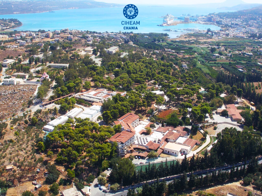 Έως 15 Αυγούστου, 2025 οι αιτήσεις για τα Αγγλόφωνα Μεταπτυχιακά Προγράμματα του ΜΑΙΧ