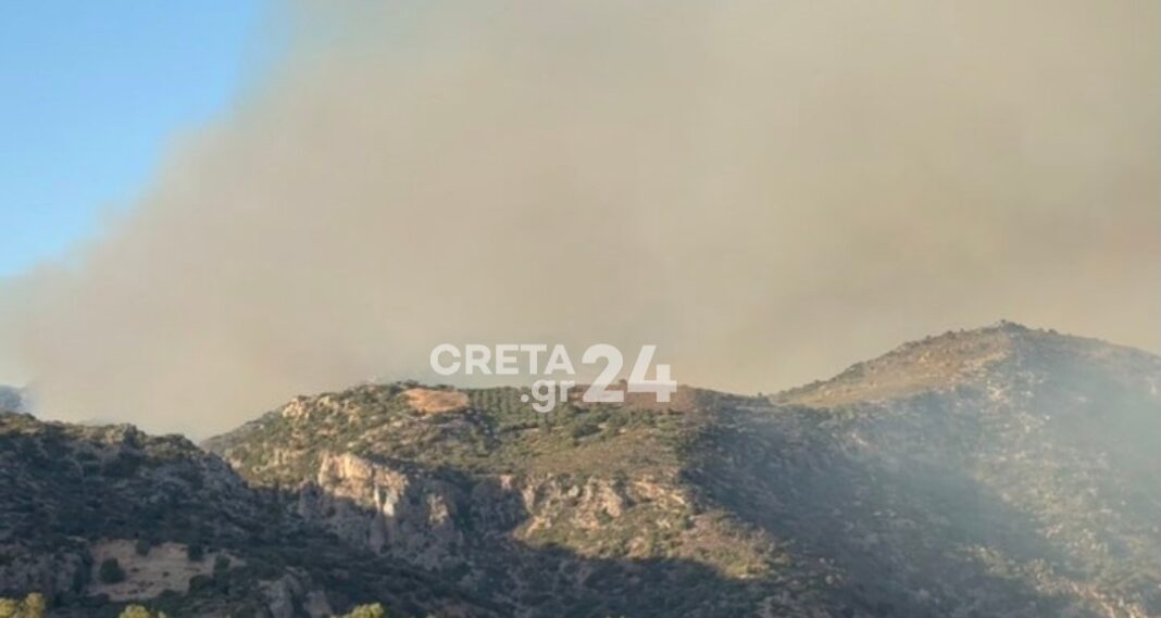 Μάχη με διάσπαρτες εστίες στα Χανιά – Ανυπολόγιστη καταστροφή