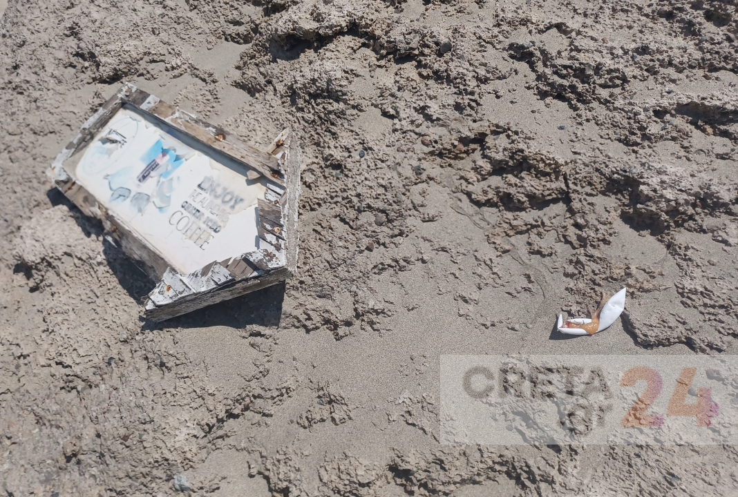 Αδιανόητο: Έβαλαν ξαπλώστρες σε περιοχή με χελωνοφωλιές στα Φαλάσαρνα – Σπασμένα αυγά και νεκρά χελωνάκια στην παραλία