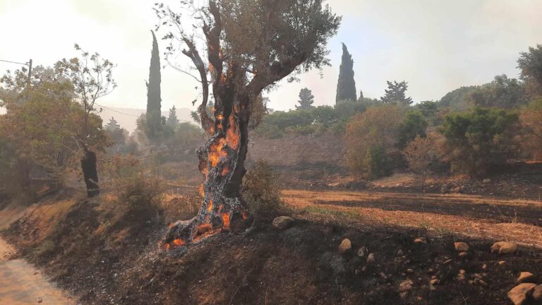 Από τον Ιούνιο έχουν ξεσπάσει 1050 πυρκαγιές σε όλη την Ελλάδα – Πάνω από 90 αυτόφωρα κατά τη διάρκεια αντιπυρικής περιόδου