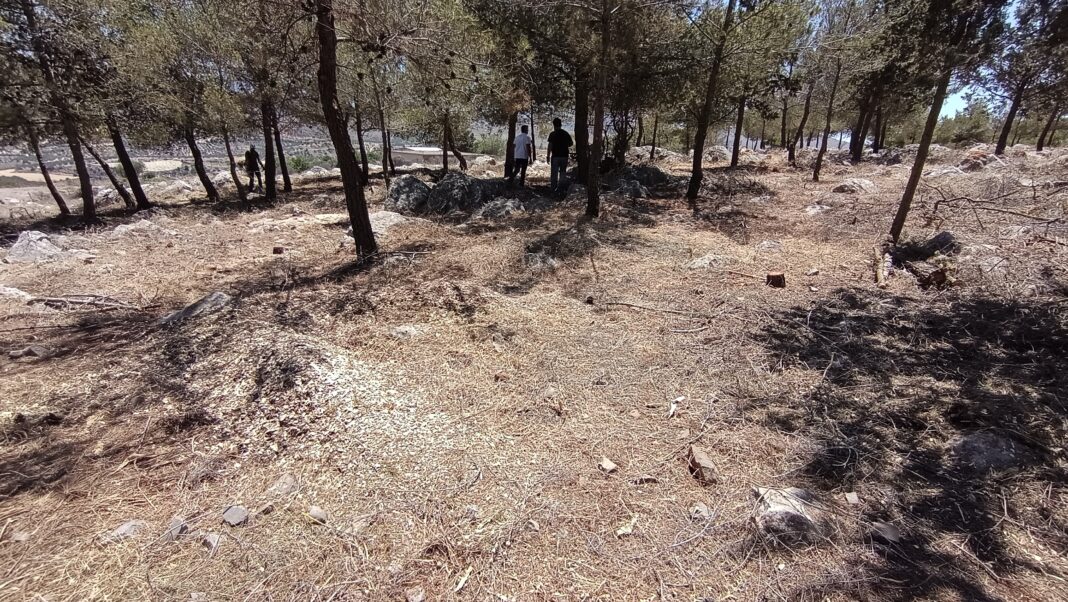 Βάση στην πρόληψη Πολιτικής Προστασίας δίνει ο Δήμος Χερσονήσου – Ολοκληρώθηκαν παρεμβάσεις αντιπυρικών ζωνών