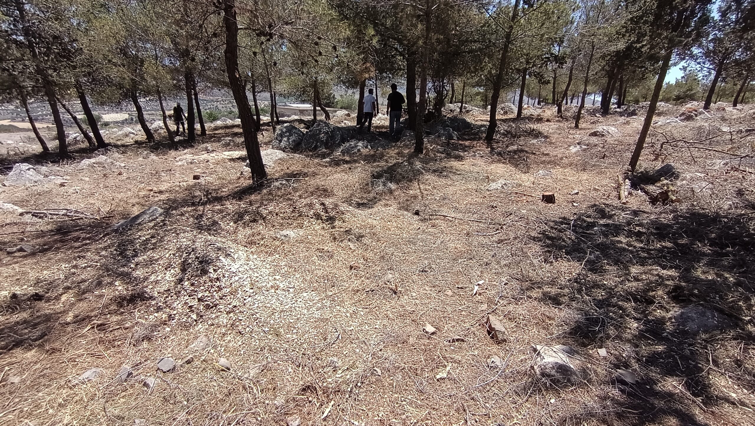 Βάση στην πρόληψη Πολιτικής Προστασίας δίνει ο Δήμος Χερσονήσου – Ολοκληρώθηκαν παρεμβάσεις αντιπυρικών ζωνών