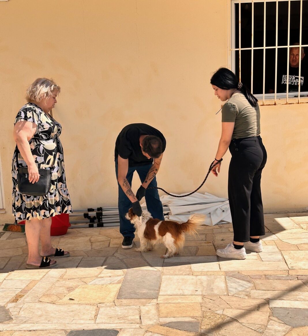 Με επιτυχία η δράση δωρεάν στειρώσεων του Δήμου Μαλεβιζίου σε συνεργασία με τη Zero Stray Pawject