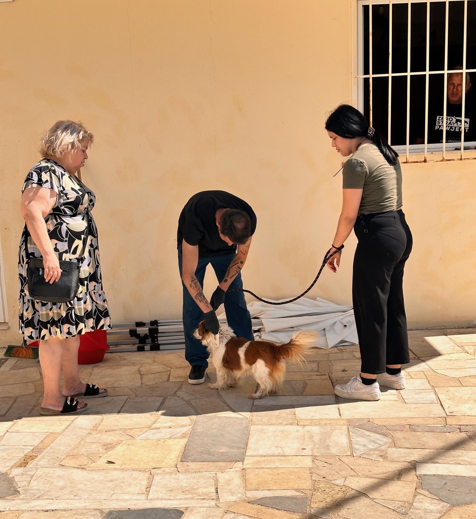 Με επιτυχία η δράση δωρεάν στειρώσεων του Δήμου Μαλεβιζίου σε συνεργασία με τη Zero Stray Pawject
