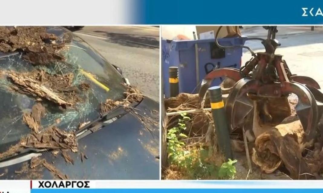 Κορμός δέντρου καταπλάκωσε αυτοκίνητο σε κεντρικό δρόμο- Βίντεο