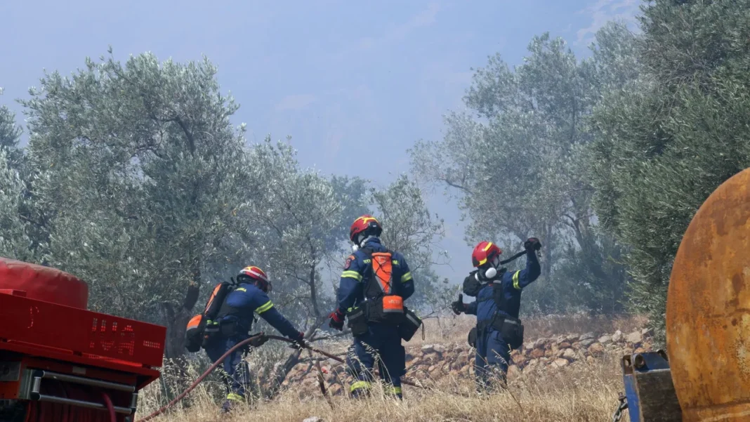 Θάσος: Χωρίς ενεργά μέτωπα η φωτιά στο νησί μετά από μια δύσκολη νύχτα