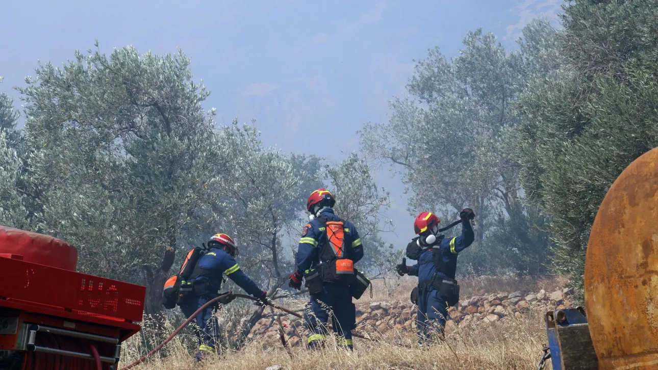 Θάσος: Χωρίς ενεργά μέτωπα η φωτιά στο νησί μετά από μια δύσκολη νύχτα