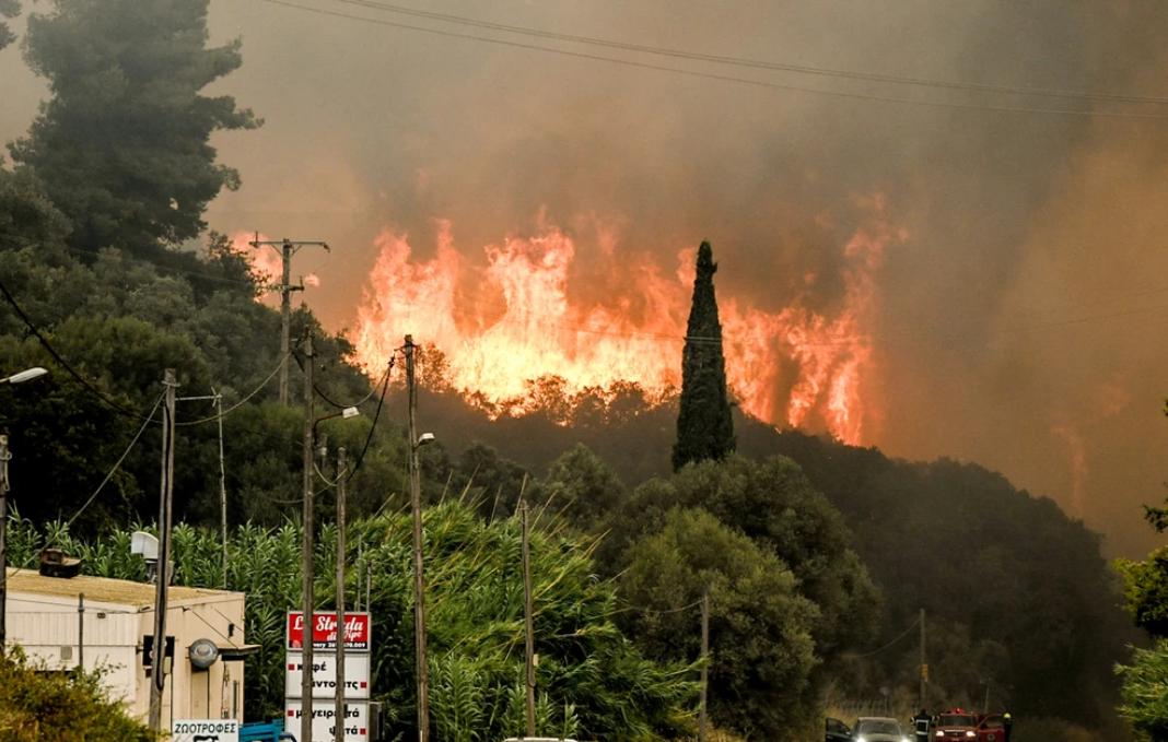 Πάτρα: Πώς η μεγάλη φωτιά άλλαξε τη βλάστηση και το μικροκλίμα – «Τα πράγματα δεν θα είναι τα ίδια από εδώ πέρα»