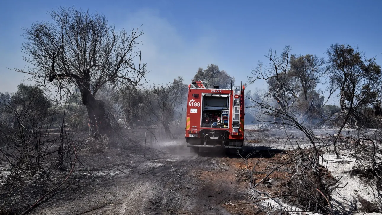 Οριοθετήθηκε η πυρκαγιά στην Οινόη Αττικής – Ζημιές σε δύο σπίτια