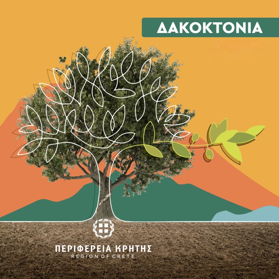 ΠΕ Ηρακλείου: Ιδιαίτερα δύσκολη η καταπολέμηση του δάκου τη φετινή χρονιά