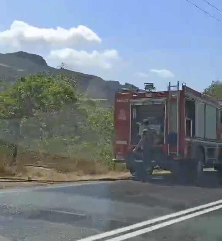 Ρέθυμνο: Πρόλαβαν τη φωτιά οι πυροσβέστες