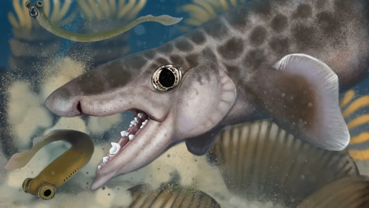 Απομεινάρια καρχαρία 340 εκατ. ετών βρέθηκαν στο μεγαλύτερο σύστημα σπηλαίων του κόσμου