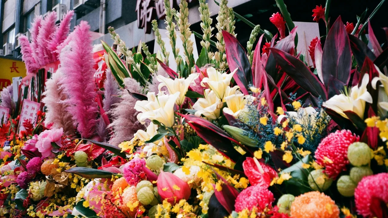 Καρναβάλι Λουλουδιών στην Ουγγαρία: Μια μακρά παράδοση 120 ετών με ανθοστολισμένα δρώμενα