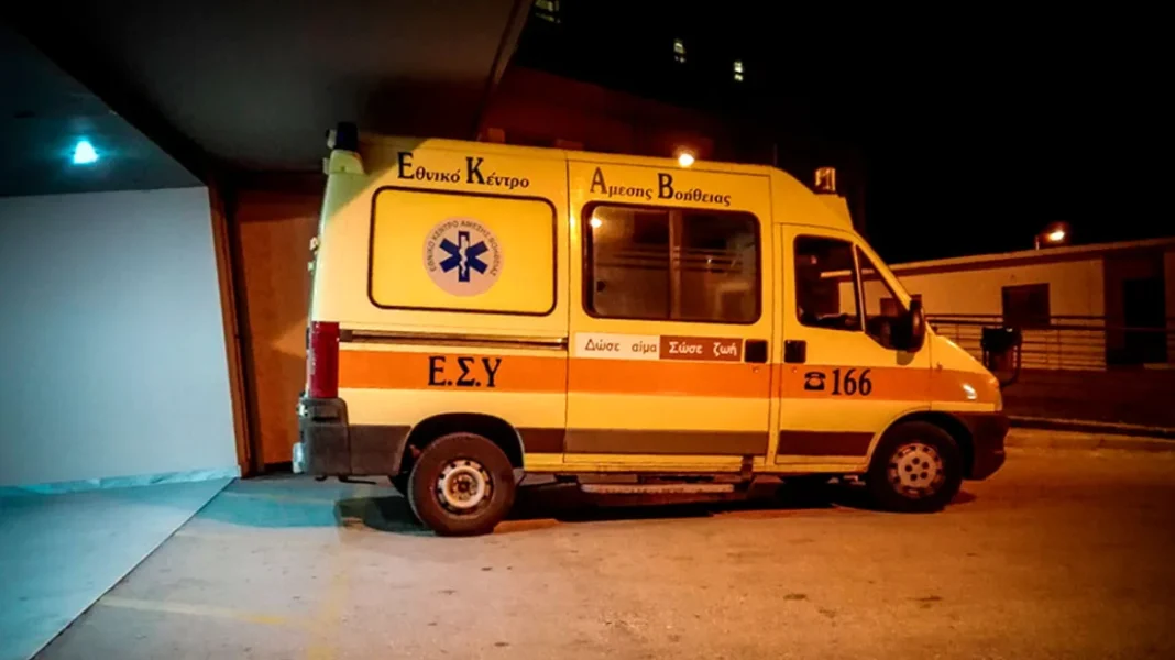Μουριά έπεσε και καταπλάκωσε δύο άτομα σε αυλή σπιτιού