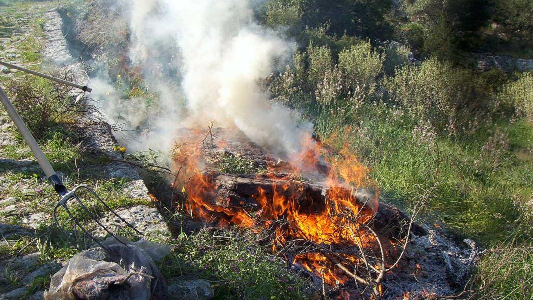 Κρήτη: Θα πληρώσει 1.400 ευρώ για το κάψιμο των κλαδιών